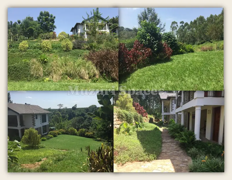 After: The completed Bubbles Hotel grounds: planted slopes, lawns and a stone path