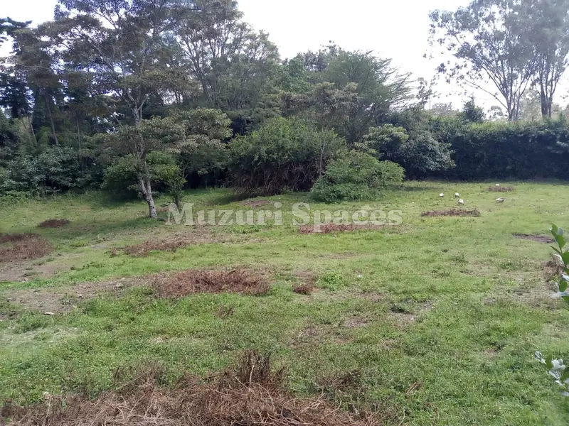 Before: The Karen site before design: rough grass and patchy ground under mature trees