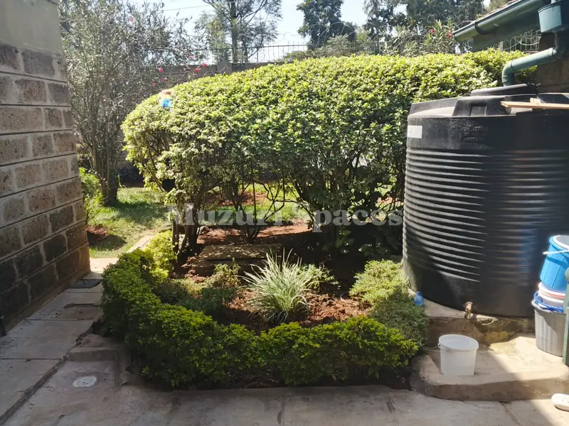 Before: The bed by the water tank before rehabilitation: an overgrown hedge and bare soil