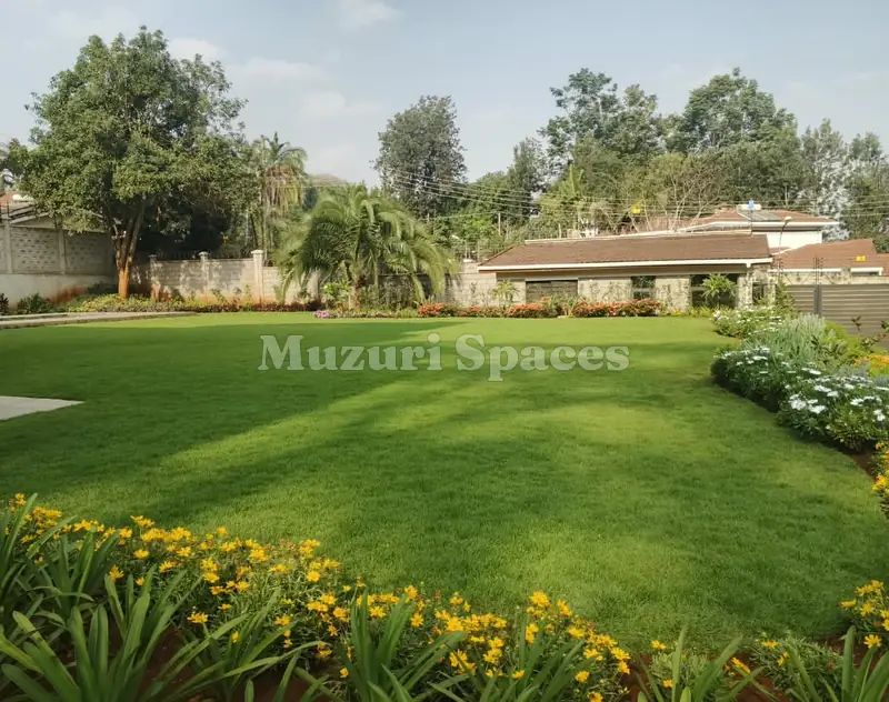 Large lawn with coreopsis borders and mature trees around a single-storey house