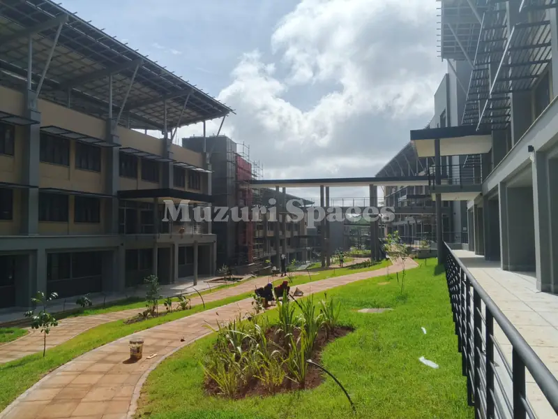 After: Completed courtyard at the UN complex in Nairobi: paved path, lawn and a planted island between new office blocks